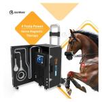 magnetic stimulation pemf physical therapy shockwave medical machine shockwave laser physio device