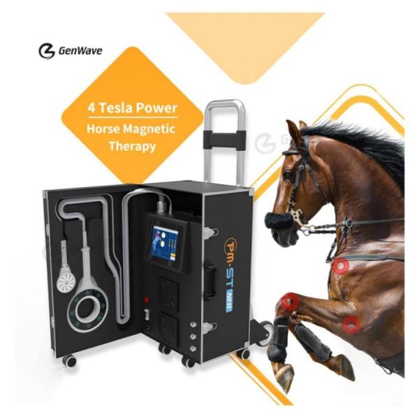magnetic stimulation pemf physical therapy shockwave medical machine shockwave laser physio device