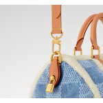 SPEEDY 40 BANDOULIÈRE BAG
