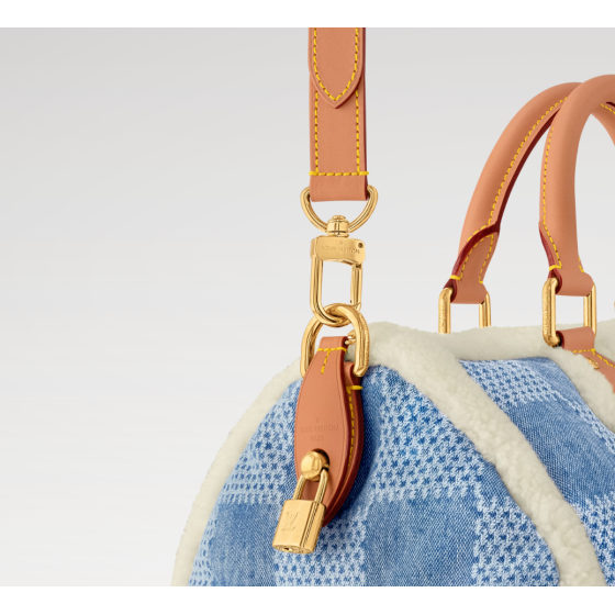 SPEEDY 40 BANDOULIÈRE BAG