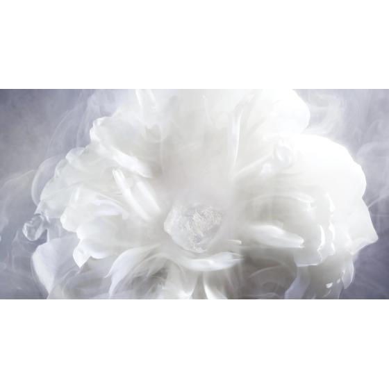 Dior New Look Perfume