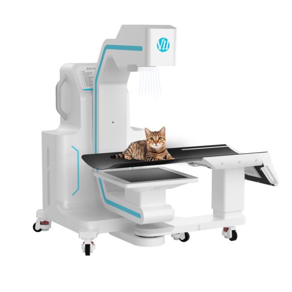 AI-enhanced, Open-bore VET CT For Large Dog Animal Orthopedic Imaging Diagnosis