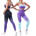 Best Selling New Sports Wear Yoga Sets Fitness Women Gym Suit Gradient Seamless Workout Yoga Set for Women
